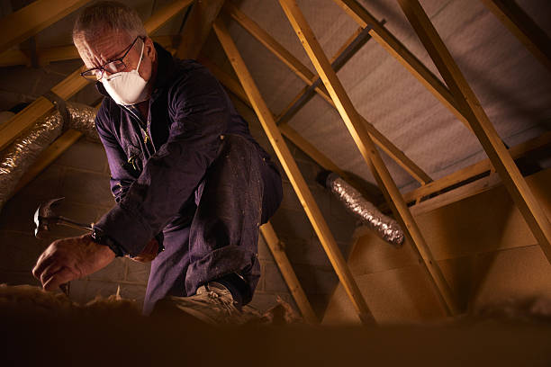 Types of Insulation We Offer in Melody Hill, IN